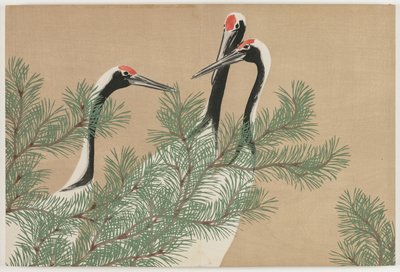 Sadan maailman kukat (Momoyogusa): Nosturit (Tsuru) tekijältä Kamisaka Sekka