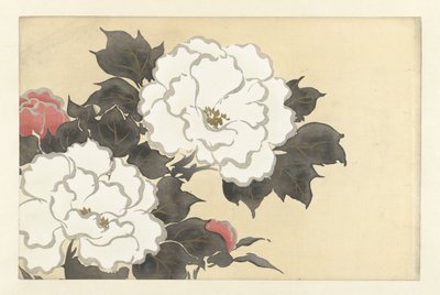 pionit fukamigusa Flowers of a Hundred Worlds (sarjan nimi) Momoyogusa, voi. 1 (sarjan nimi) tekijältä Kamisaka Sekka