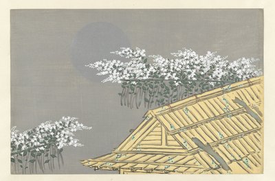 Valkoisia kukkia kotona Unohana Flowers of a Hundred Worlds (sarjan nimi) Momoyogusa, voi. 1 (sarjan nimi) tekijältä Kamisaka Sekka