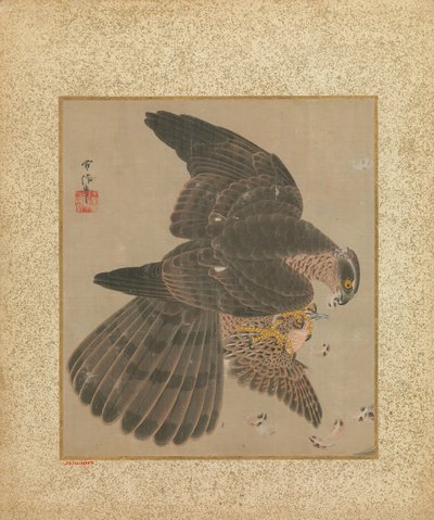 Hawksin ja kalligrafian albumi, 1600-1700. tekijältä Kanô Yôboku Tsunenobu