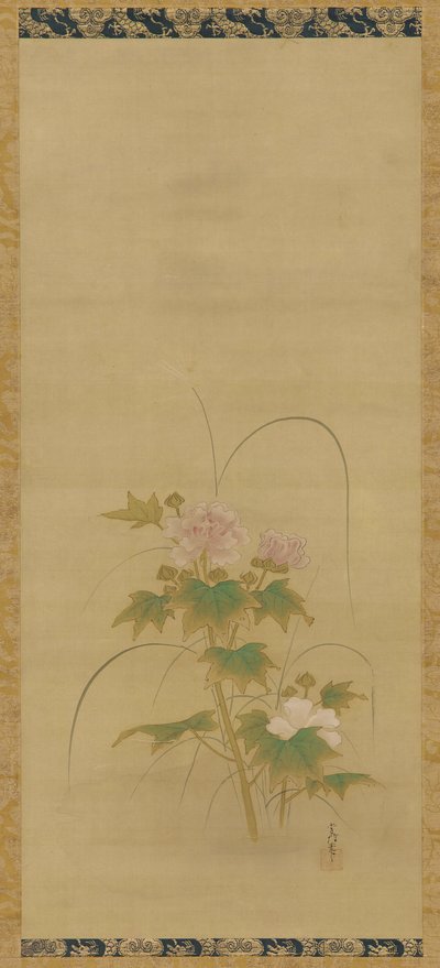 Hibiscus osa settiä, Edo-kausi, 1600-luvun puoliväli - 1700-luvun alku. tekijältä Kanô Yôboku Tsunenobu