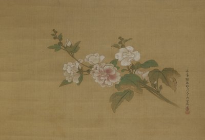 Kukkivan hibiskuksen oksa, Edo Period (väri silkillä) tekijältä Kano Tanyu