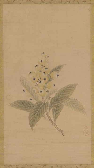 Mispelien haara, Edo-kausi, 1600-luku. tekijältä Kanō Tan’yū