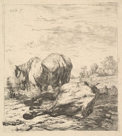 Kaksi hevosta, 1600-luku. tekijältä Karel Du Jardin