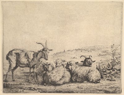 Kaksi vuohet ja kolme lammasta, 1655. tekijältä Karel Du Jardin