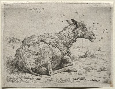 Lampaat ja kärpäset tekijältä Karel Dujardin