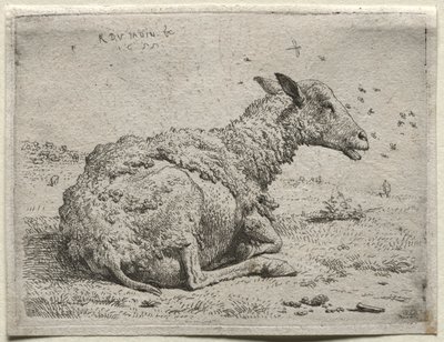 Lampaat ja kärpäset. tekijältä Karel Dujardin