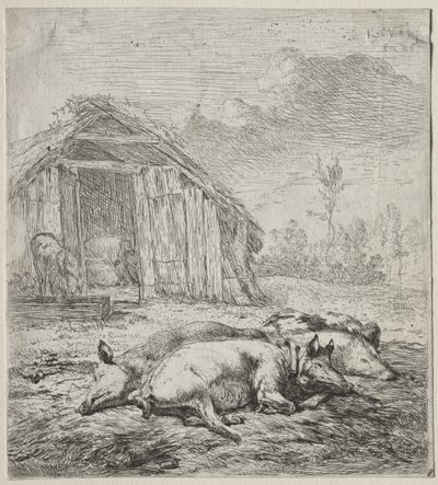 Kolme sikaa makaa aukon edessä tekijältä Karel Dujardin