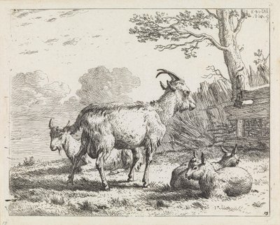  tekijältä Karel Dujardin