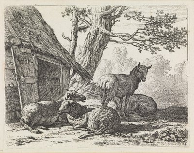  tekijältä Karel Dujardin