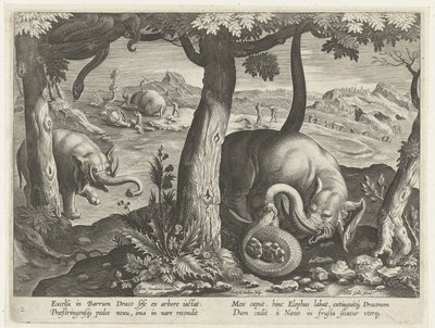 Olifant tapasi slangin taisteluissa Jachttaferelen (sarjan nimi) Villiriistan, lintujen ja kalojen metsästys Bestiaryssa (sarjan nimi) tekijältä Karel van Mallery (attributed to)