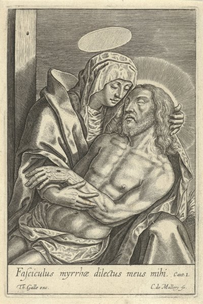 Pieta tekijältä Karel van Mallery