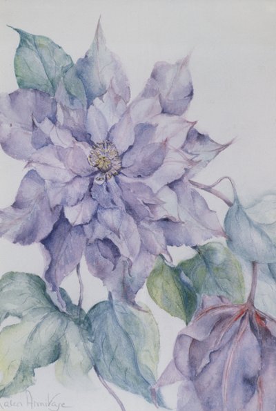 Clematis, lordi Neville tekijältä Karen Armitage