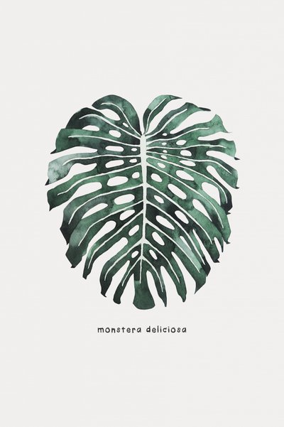 Monstera-lehti vesivärillä tekijältä Karen Menzenbach