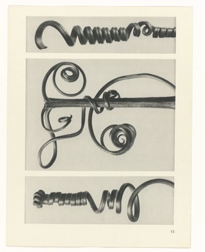 suunnittele tutkimusta Taiteen arkkityypit (sarjan nimi) tekijältä Karl Blossfeldt