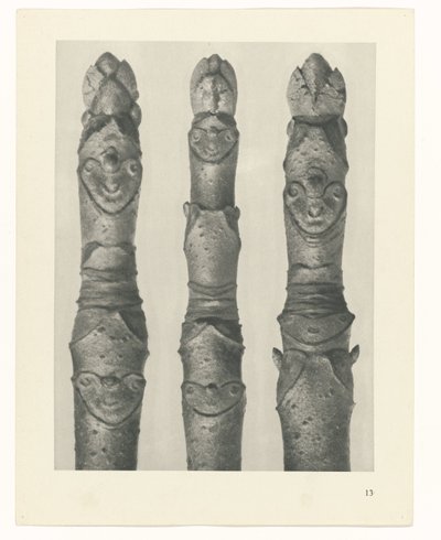 suunnittele tutkimusta Taiteen arkkityypit (sarjan nimi) tekijältä Karl Blossfeldt
