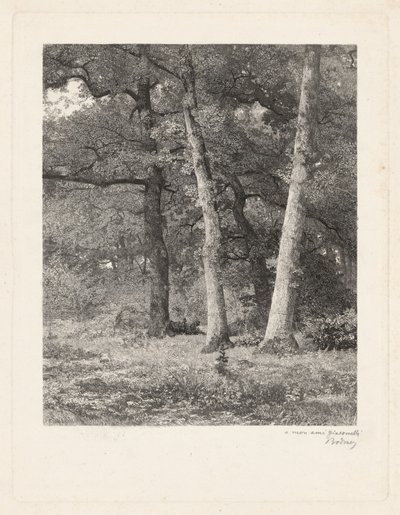 Metsän raivaus tekijältä Karl Bodmer