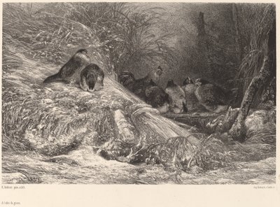 Suojaa pakkaselta tekijältä Karl Bodmer