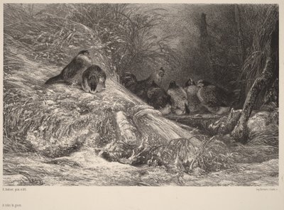 Pakkaselta suojassa tekijältä Karl Bodmer