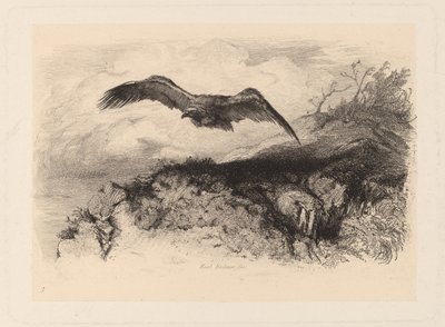 lentävä kotka tekijältä Karl Bodmer