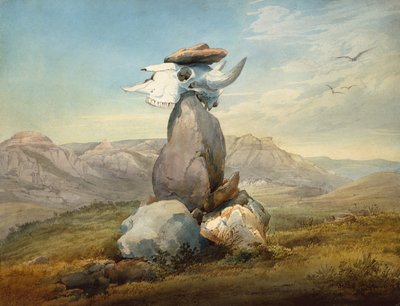 Assinboin lääketieteen merkki tekijältä Karl Bodmer