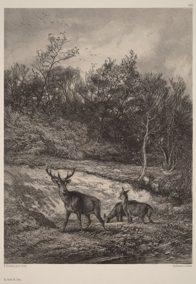 Veden äärellä tekijältä Karl Bodmer
