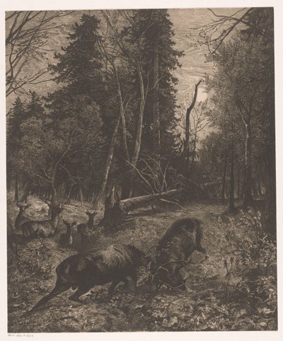 Vista del bosc amb acabat de dos cérvols de lluita tekijältä Karl Bodmer