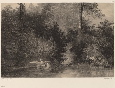 Ankat tekijältä Karl Bodmer