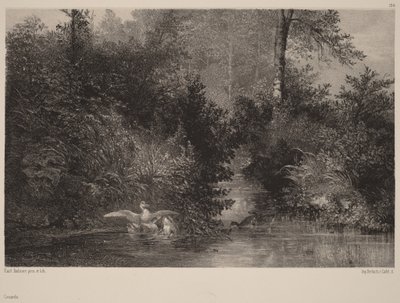 Ankat tekijältä Karl Bodmer