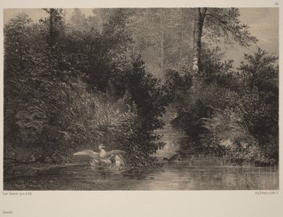 Ankat tekijältä Karl Bodmer