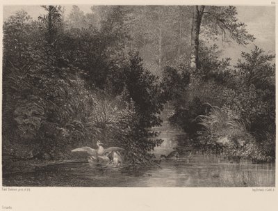 Ankat, 18611866. tekijältä Karl Bodmer