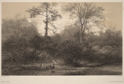 Villisorsat tekijältä Karl Bodmer
