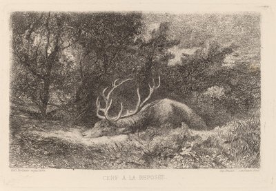 Deer a la Reposee tekijältä Karl Bodmer