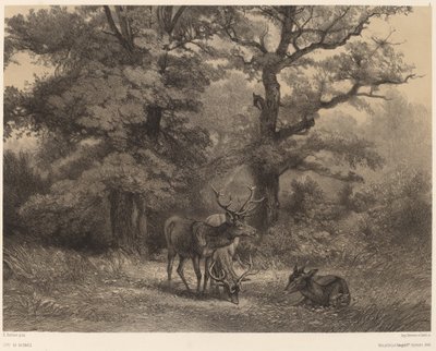 Hirvi Gagnagessa. tekijältä Karl Bodmer