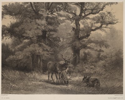 Hirviä ruokailupaikalla tekijältä Karl Bodmer