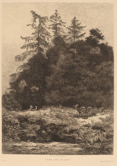 Kuusipeura puistossa. tekijältä Karl Bodmer