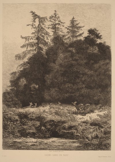 Kuusipeuroja puistossa tekijältä Karl Bodmer