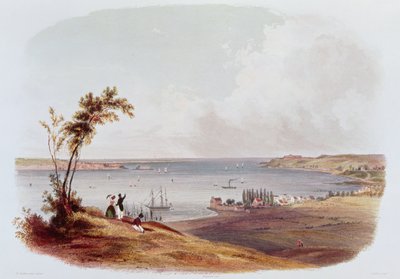 Pääsy New Yorkin lahdelle, Staten Island, kaiverrettu Salathe (väri litho) tekijältä Karl Bodmer