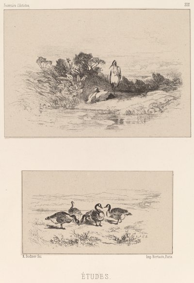 Opinnot tekijältä Karl Bodmer