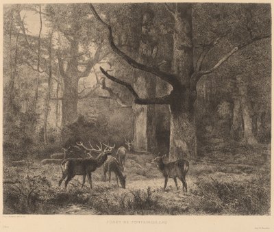 Fontainebleaun metsä tekijältä Karl Bodmer