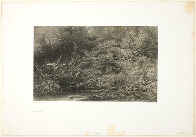 Fox on the Prowl tekijältä Karl Bodmer