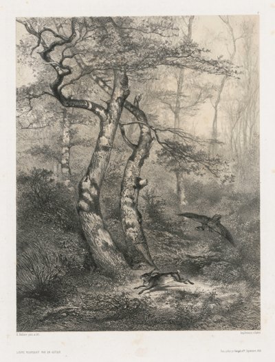 Jänis, jota Goshawk takaa tekijältä Karl Bodmer