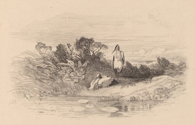 Haikaroita. tekijältä Karl Bodmer
