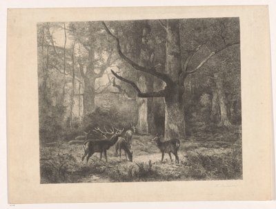 Hirvi metsässä tekijältä Karl Bodmer