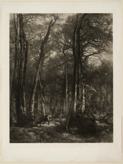 Metsässä tekijältä Karl Bodmer