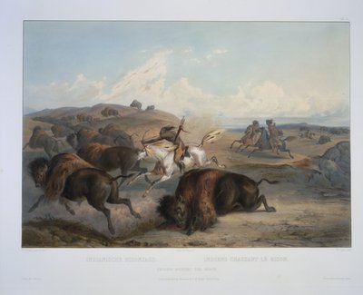 Intiaanit Biisonia metsästämässä tekijältä Karl Bodmer