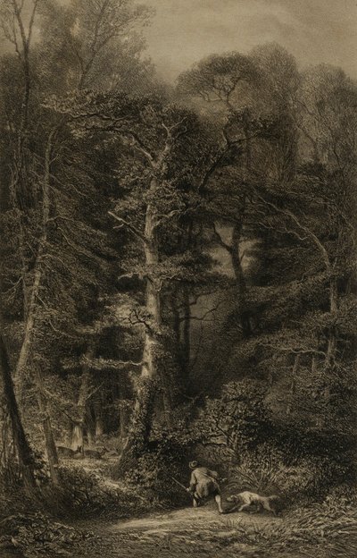 Metsän sisätilat tekijältä Karl Bodmer