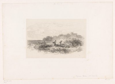 Maisema kahdella valkohäntäpeuralla Maisemat eläinten kanssa (sarjan nimi) tekijältä Karl Bodmer