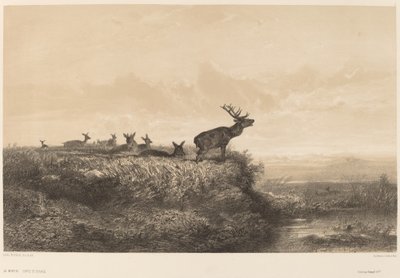El matí. finlandès tekijältä Karl Bodmer