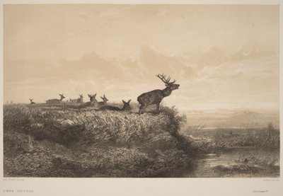 Aamu tekijältä Karl Bodmer